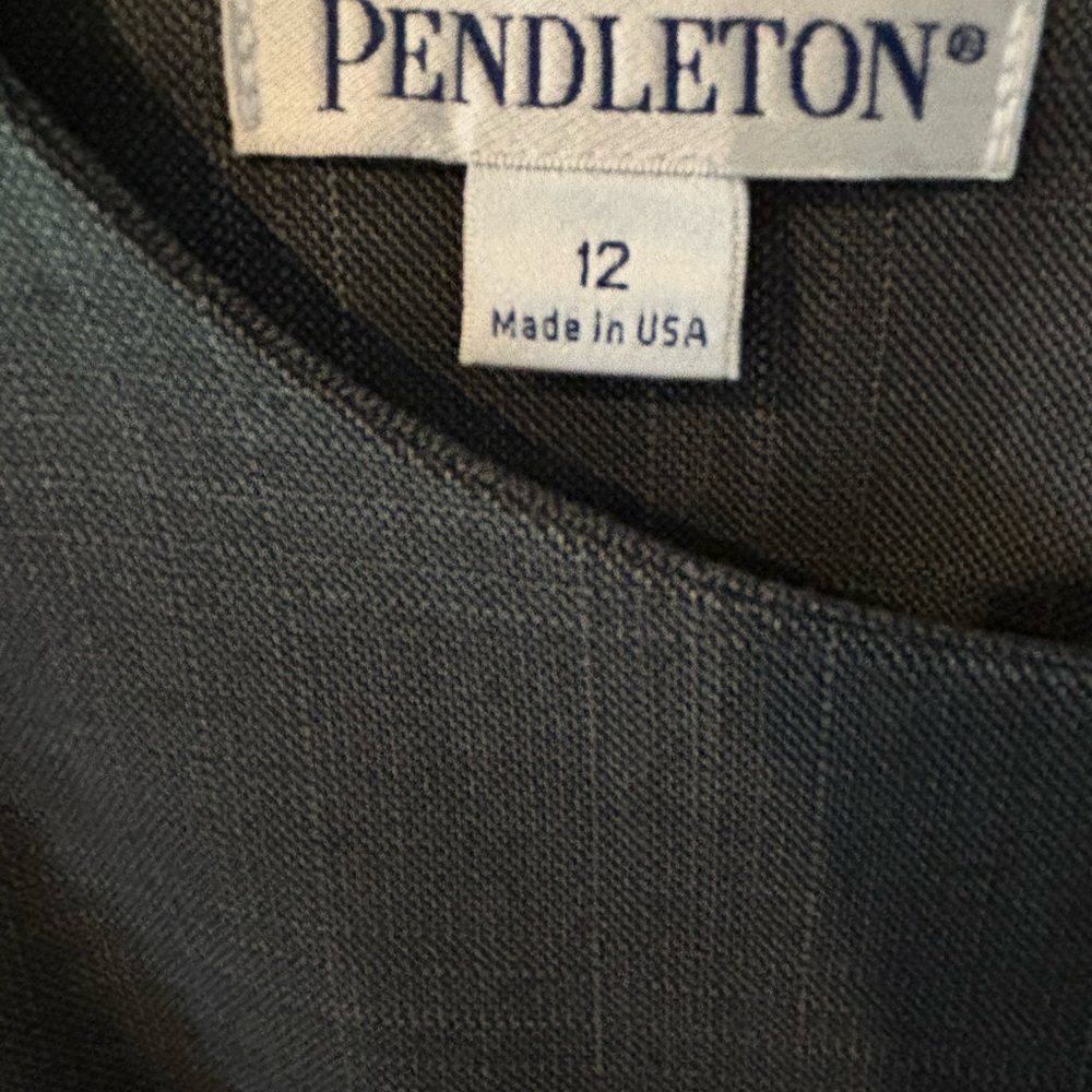 Pendleton Gray Dress - image 4